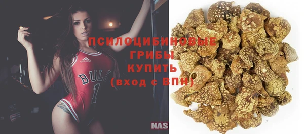 трава Строитель