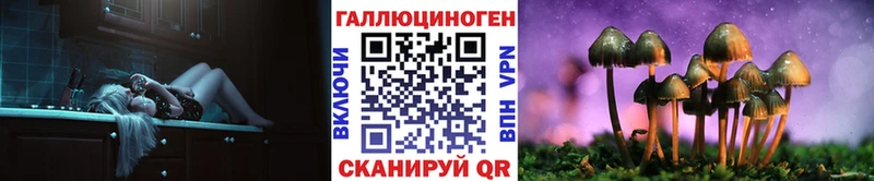 где можно купить   Белово  Галлюциногенные грибы GOLDEN TEACHER 